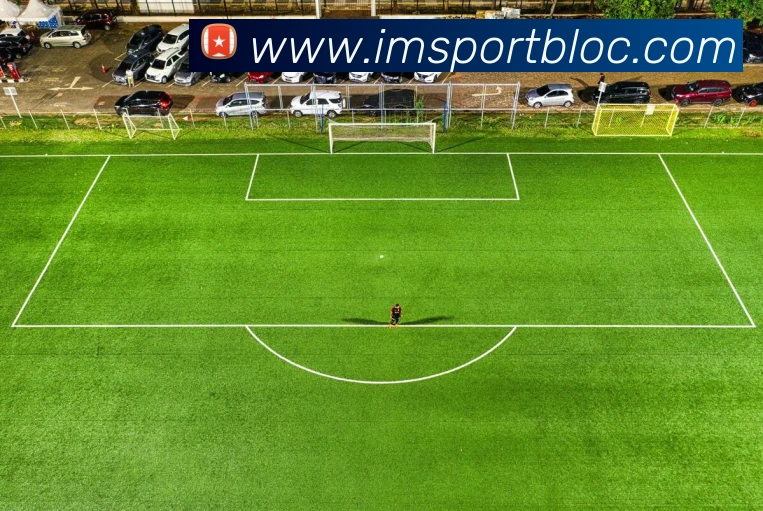 IM足球体育平台生态图